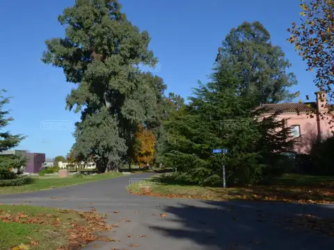 Terreno en Venta de 1313,0 m2