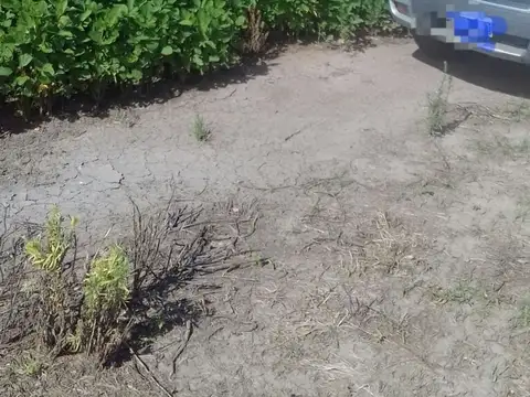 VENTA EXCELENTE CAMPO AGRICOLA, RUTA 11, MARC. ESC