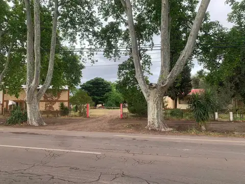Se vende predio ideal para loteo en Gral Alvear