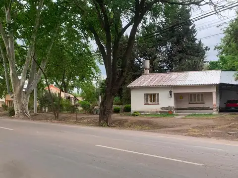 Diagonal Carlos Pellegrini 2400