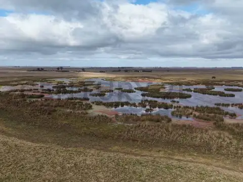 VENTA CAMPO GENERAL PIRAN 780 HECTAREAS
