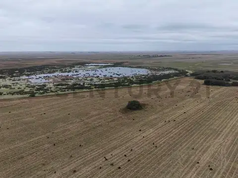 VENTA CAMPO GENERAL PIRAN 780 HECTAREAS