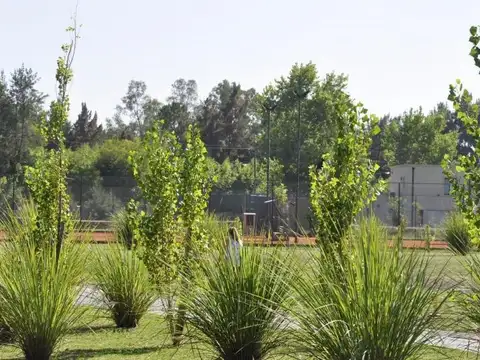 Terreno en Venta de 602,0 m2