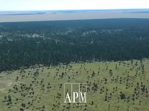 Campo sobre ruta Z/ Puerto Valle