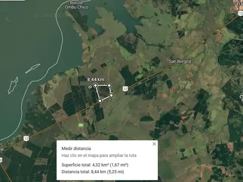 VENTA | CAMPO FORESTAL DE PINOS – PUERTO VALLE, CORRIENTES