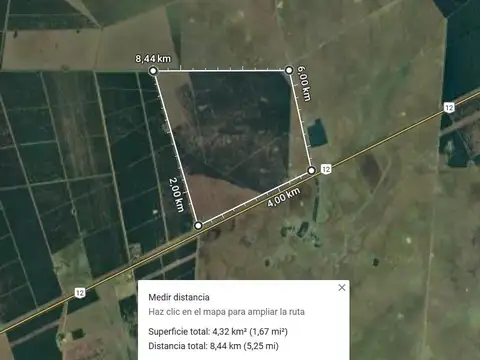 VENTA | CAMPO FORESTAL DE PINOS – PUERTO VALLE, CORRIENTES