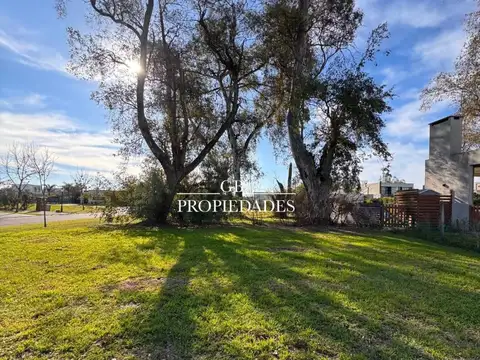 Terreno en Venta de 604,0 m2