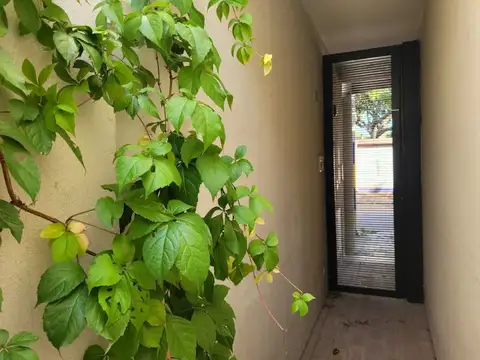 Juan José Paso 618 , Piso 0