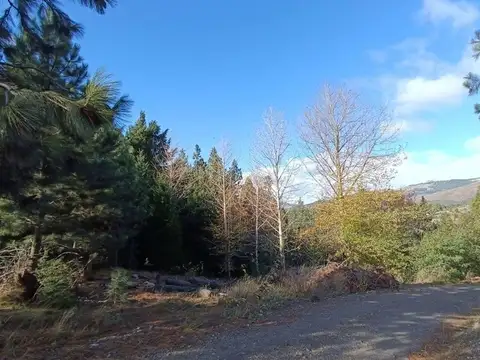 Terreno en Venta en San Martin De Los Andes, USD 35.000