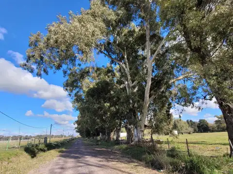 Terreno en venta Barrio Parque Robles II