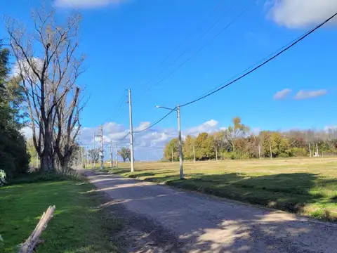 Terreno en Venta de 1581,0 m2