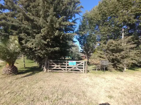 Quinta - Venta - Argentina, DOMSELAAR - ALFONSINA STORNI 610