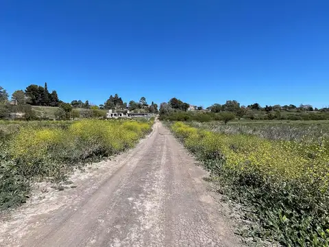 DE LOS PESCADORES S/N - PLAYA MANSA