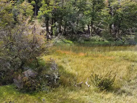 Campo en  Chubut - Patagonia