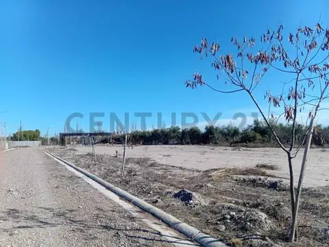 Terreno en Venta 33  mts Fondo