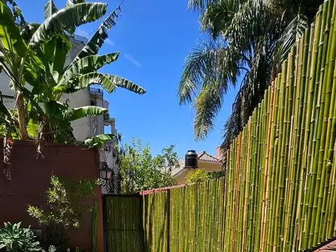 Calle Saldias - Tigre al 1200
