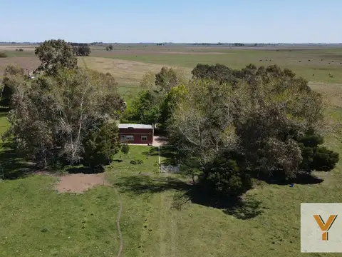 Campo en venta - 8ha - Lezama
