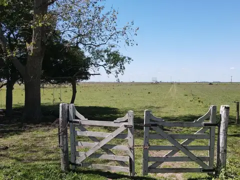 Ruta 2 Km 148
