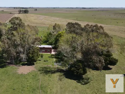 Campo en venta - 8ha - Lezama