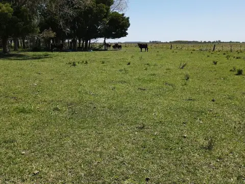 Ruta 2 Km 148