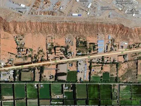 Álamos - Vaca Muerta