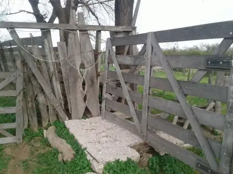 5000 ha. campo ganadero en La Pampa, Limay, Mahuida.