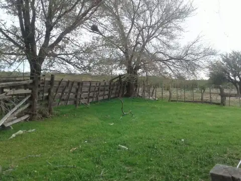 5000 ha. campo ganadero en La Pampa, Limay, Mahuida.