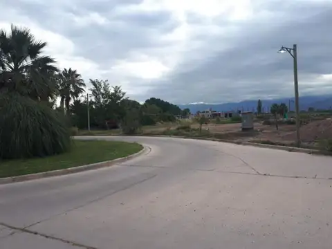 Mathus Hoyos y Tirasso 100