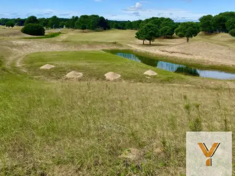 Terreno en venta - 1000mts2 - Villa Robles, Pinamar