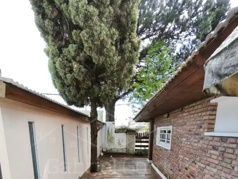 Marano y Dolores 1000