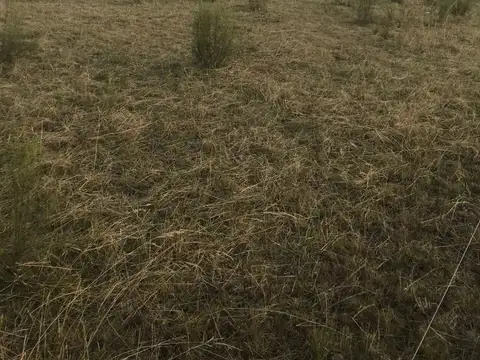 Campo en Venta de 9.000  ha