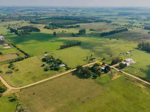 VENTA CHACRA 2,25 HA LOS CERRILLOS CANELONES