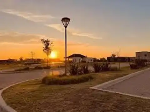 Consultar dirección