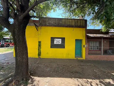 Alexander Fleming 1900