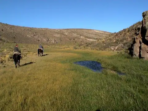 Ruta 40 - Tecka