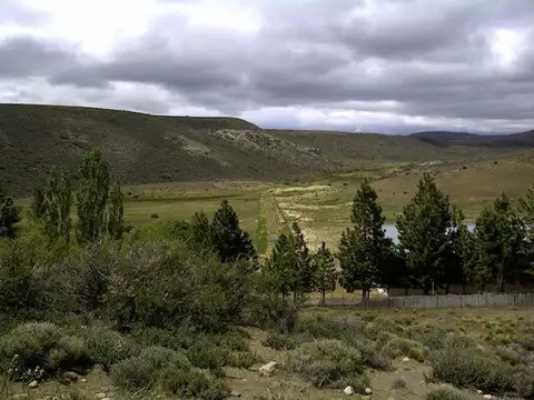 INMOBILIARIA COMODORO - Campo a 80 km de Esquel sobre Ruta 40 pavimentada