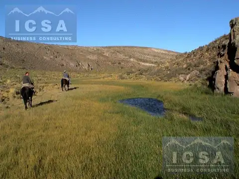 Ruta 40 - Tecka