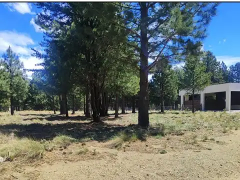 Lote en Dos Valles Naturaleza,seguridad,bienestar