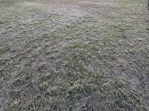 Terreno en Venta de 1100,0 m2
