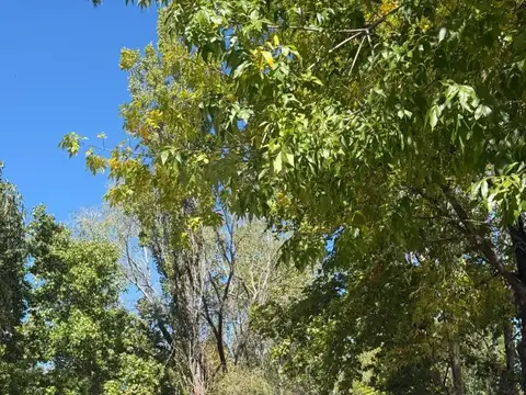 Excelente Terreno en venta en El cardal 2