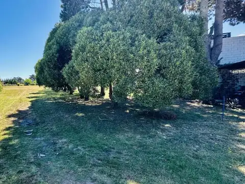 Barrancas De San Benito, Las Focas 600