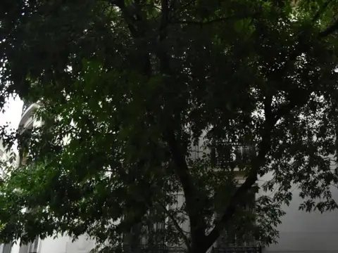 Oportunidad ! Departamento en el barrio de Congreso