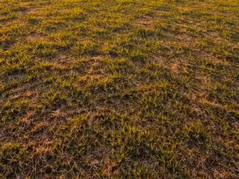 Terreno en Venta en Santo Tome, USD 85.000