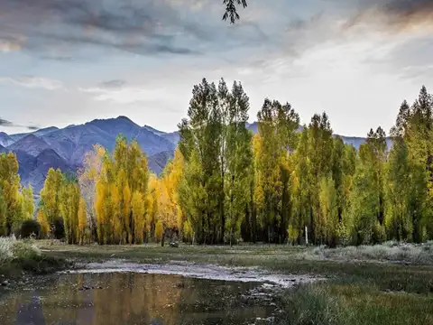 Terreno en Venta de 2170,0 m2