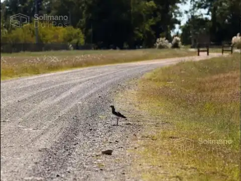 Terreno en Venta de 20000,0 m2