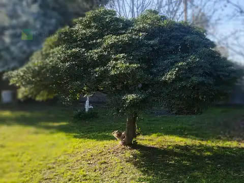 Terreno en Venta de 254,0 m2