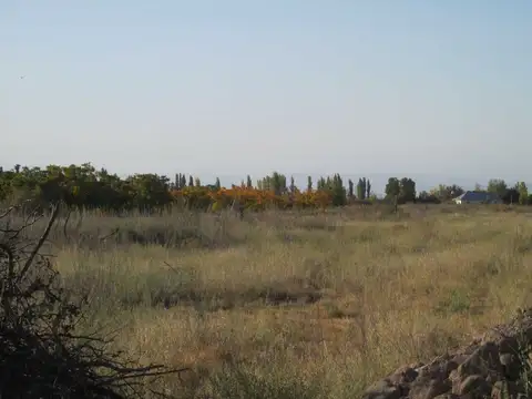 San Martín