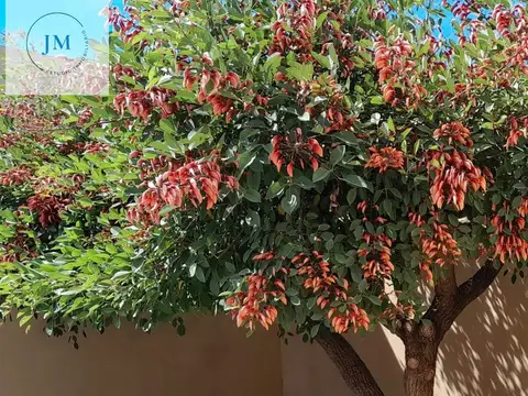 Casa en barrio cerrado El Ceibo 1, Chivilcoy