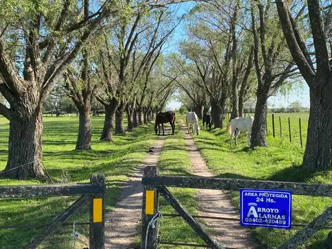 Casa - General Lagos