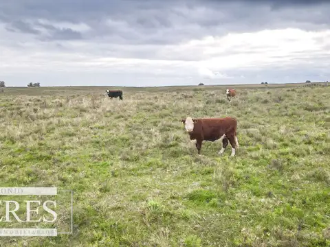 Campo de 114ha en Puntas de José Ignacio